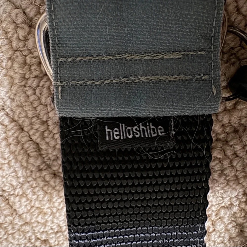 Stylish Green Dog Collar by Helloshibe